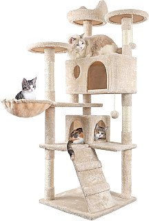 Cat Scratcher & Bed
