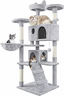 Cat Scratcher & Bed