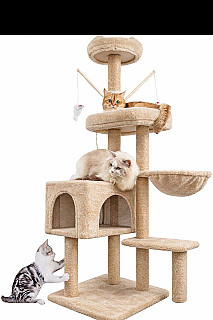 Cat Scratcher & Bed