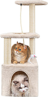 Cat Scratcher & Bed
