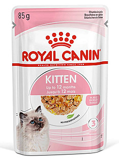 Royal Canin Kitten in Jelly