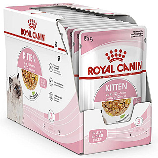 Royal Canin Kitten in Jelly