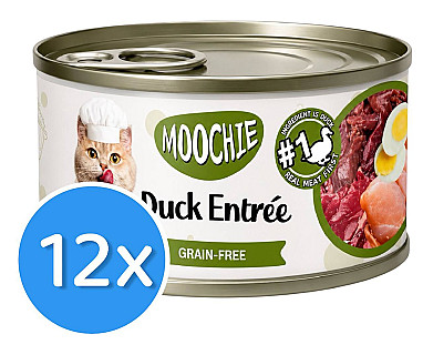 Moochie مراوی