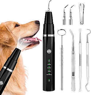 Teeth Cleaning Kit