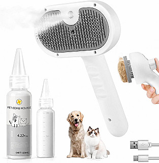 Steam Brush