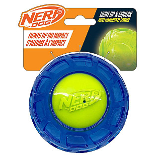 NERF Dog Toy