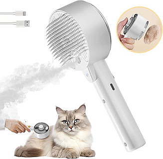Steam Brush