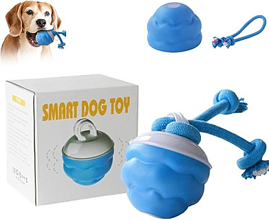 Electric Ball Toy