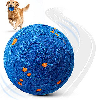 Smart Interactive Ball