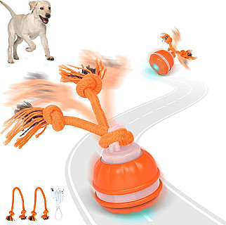 Interactive Dog Toy