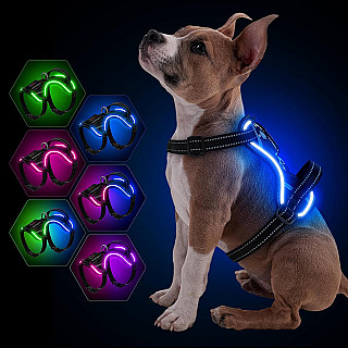 LED Harness