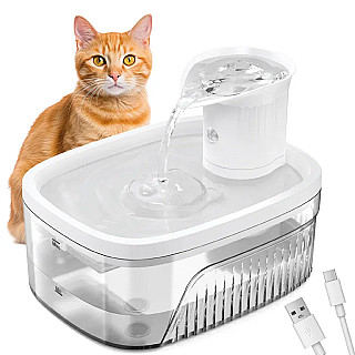 Rechargeable Fountain