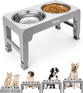 Elevated Dog Bowl