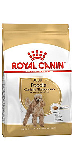 Royal Canin Poodle Adult