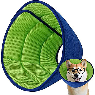 Protective Collar