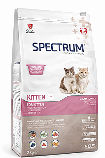 Spectrum بچه گربه مرغ