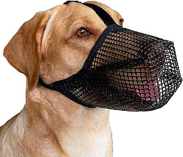 Dog Muzzle