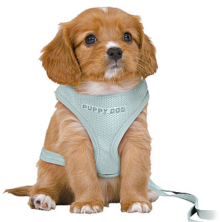Trixie Puppy Soft Harness & Leash