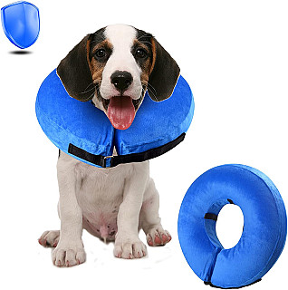 Protective Collar