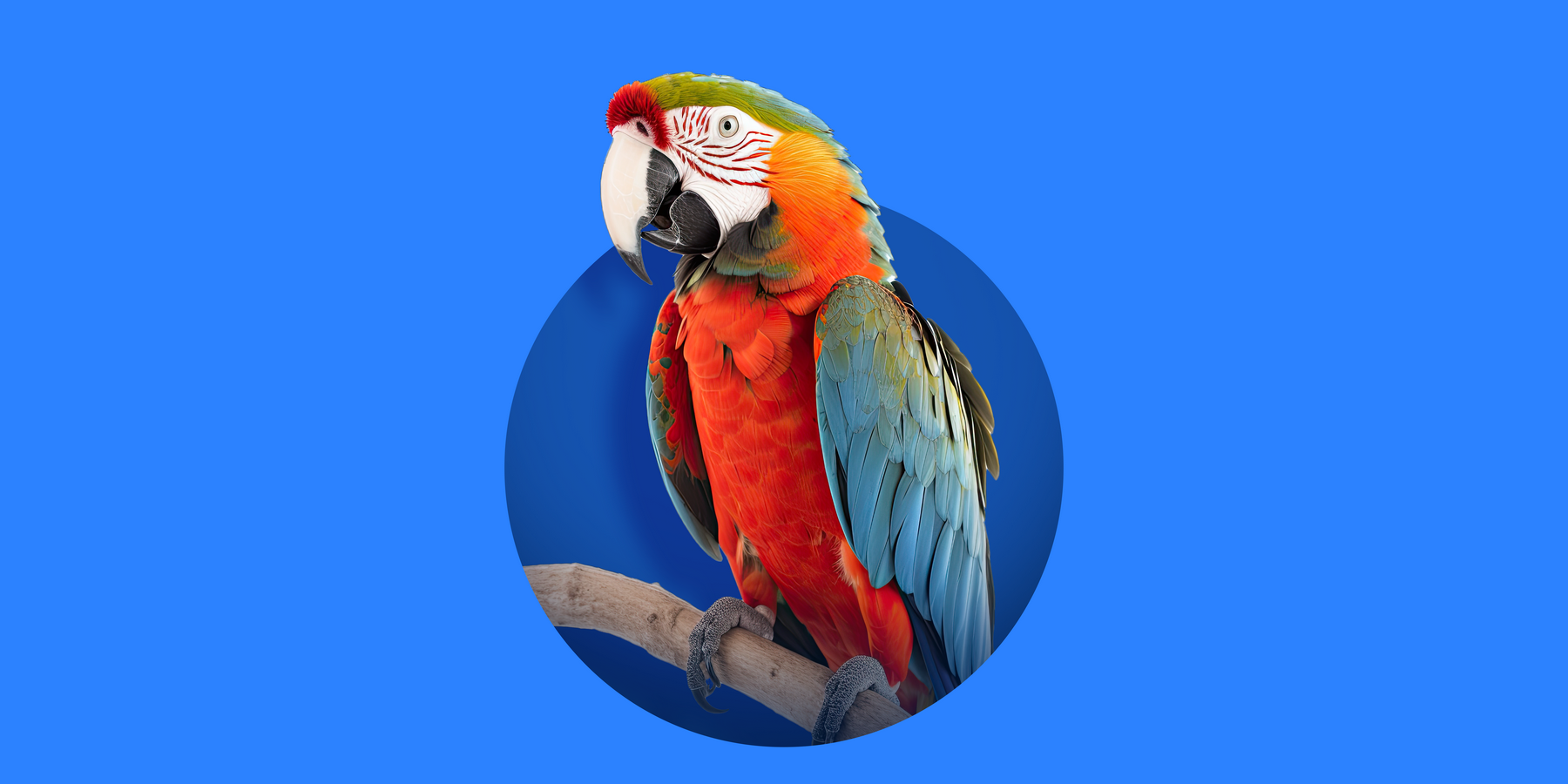 Shop Birds