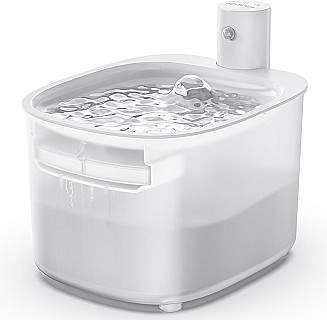 Rechargeable Fountain
