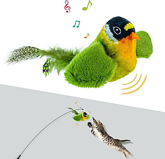 Cat Bird Toys