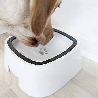 Non-Spill Water Bowl