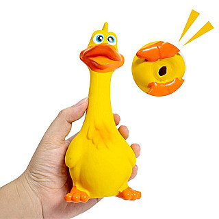 Dog Toy