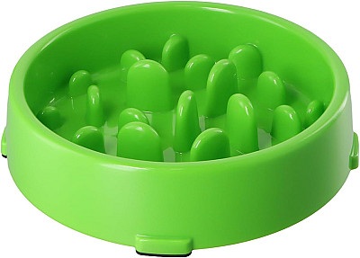 Slow Food Bowl