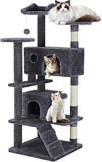 Cat Scratcher & Bed