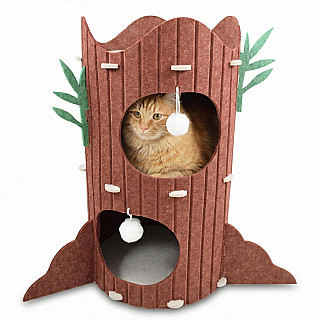 Cat Tree & Bed