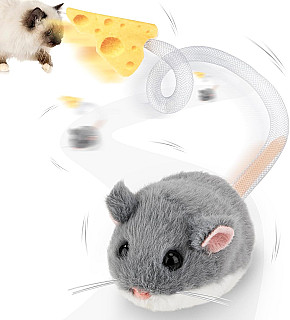 Interactive Cat Toy