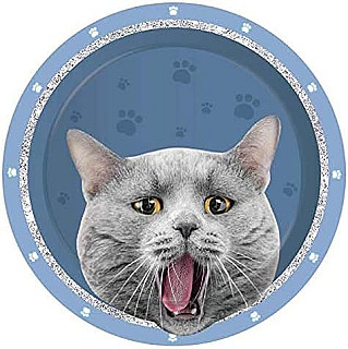 Cat Paper Bowl