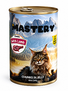 Mastery بره