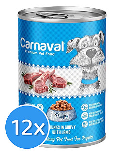 Carnaval Puppy Lamb