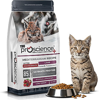 Proscience Kitten Lamb