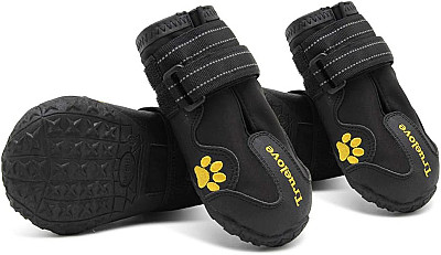 Dog Boot