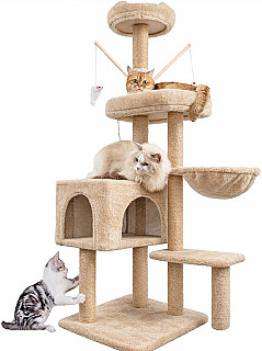 Cat Scratcher & Bed