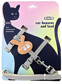 Harness