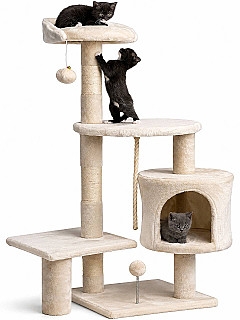 Cat Scratcher & Bed
