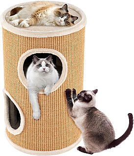 Cat Scratcher & Bed