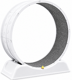 Cat Running Wheel