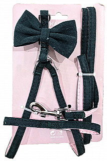 Harness