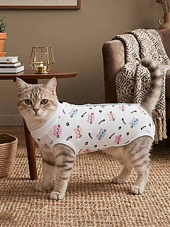 Cat Surgery Recovery Suit