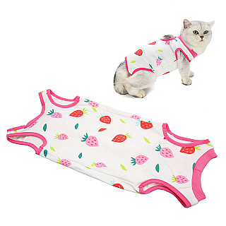 Cat Surgery Recovery Suit