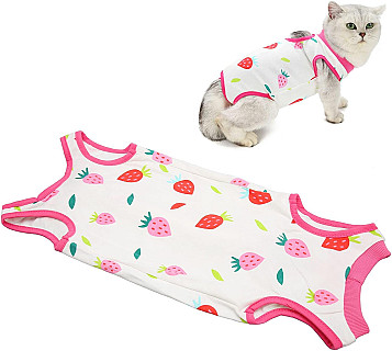Cat Surgery Recovery Suit