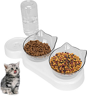 Dual Bowl & Water Dispencer