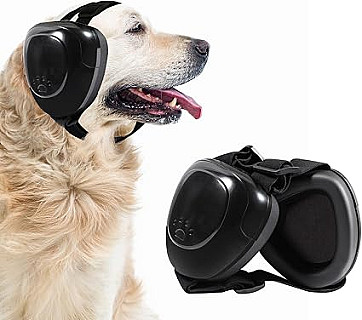 Ear Protection