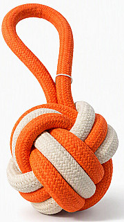 Rope Toy
