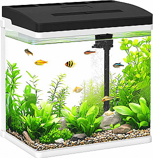 Modern Fish Tank